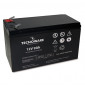  42.5331 BATTERY X UPS/ANTIFURTI/ETC. 12V  9.0AH TECNOWARE - EACPE12V09A