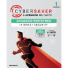  59_904 CYBERSAVER BOX - ADVANCED PROTECTION - INTERNET SECURITY 1PC (C