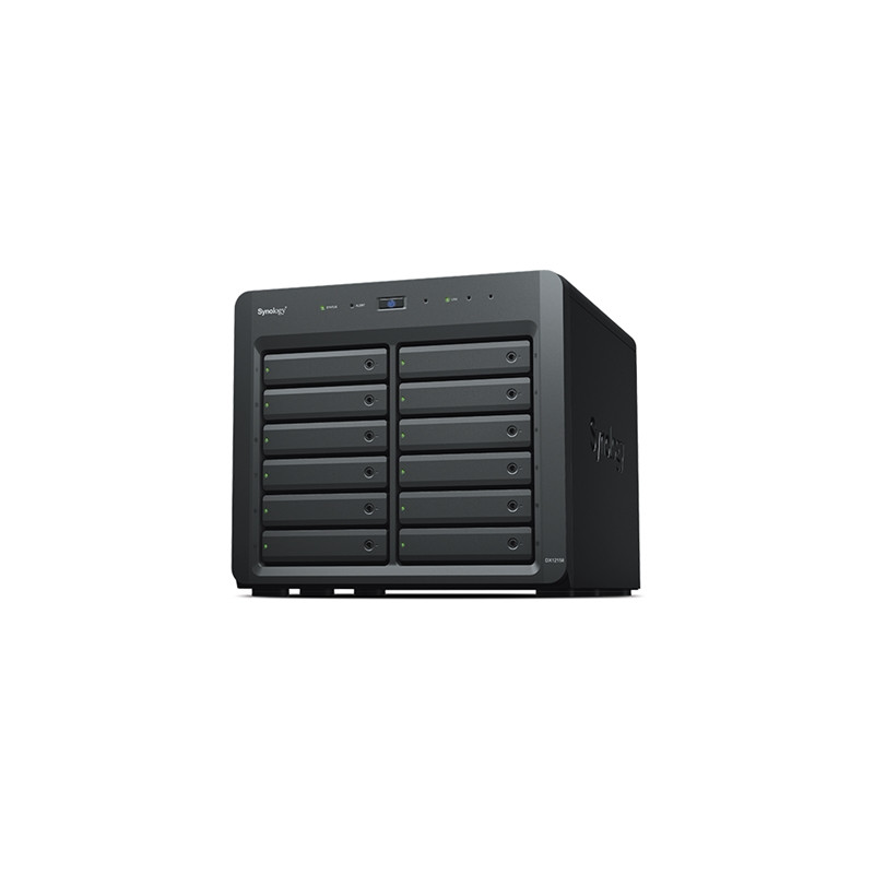 pSYNOLOGY/p dx1215ii UNITA' DI ESPANSIONE SYNOLOGY DX1215II X12HD E SSD