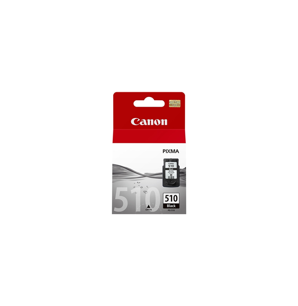  62.520 CARTUCCIA CANON PG-510 NOIRE 9ML 2970B001 X MP240/MP250/