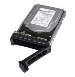  72.0062 OPT DELL 400-ATKJ HARD DISK SATA 3.5" 2TB 7.2K RPM 6GBPS 512N 3