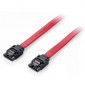  111900 CABLE SATA 0.5MT 6GBPS EQUIP 111900 - EAN 401586716031