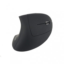  245110 MOUSE CORDLESS USB ERGONOMICO EQUIP 245110 - SCHWARZ