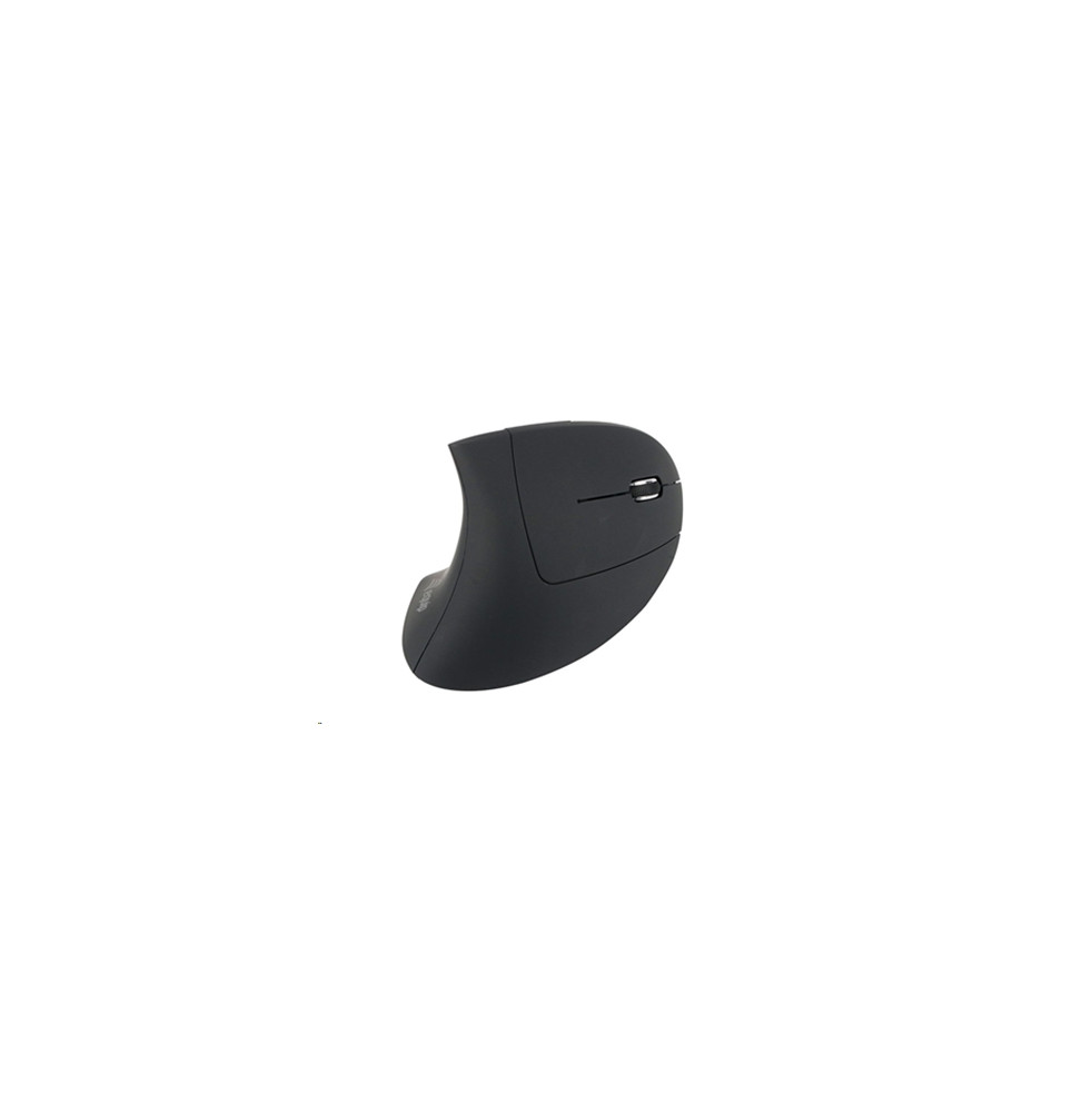  245110 MOUSE CORDLESS USB ERGONOMICO EQUIP 245110 - BLACK