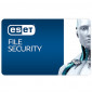  59.081 ESET SERVER SECURITY - 1 LICENZA - ERNEUERUNG 1 ANNO (EFS-R1-