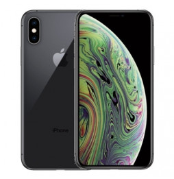  02.418R SMARTPHONE APPLE REFURBISHED(GRADE A) IPHONE XS 256GB GRIGIO SID