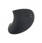  245110 MOUSE CORDLESS USB ERGONOMICO EQUIP 245110 - NOIRE