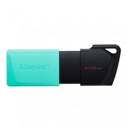  81.2564 FLASH DRIVE USB3.2 256GB KINGSTON DTXM/256GB EXODIAM SCHWARZ+VERD