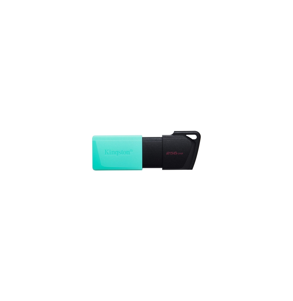  81.2564 FLASH DRIVE USB3.2 256GB KINGSTON DTXM/256GB EXODIAM SCHWARZ+VERD