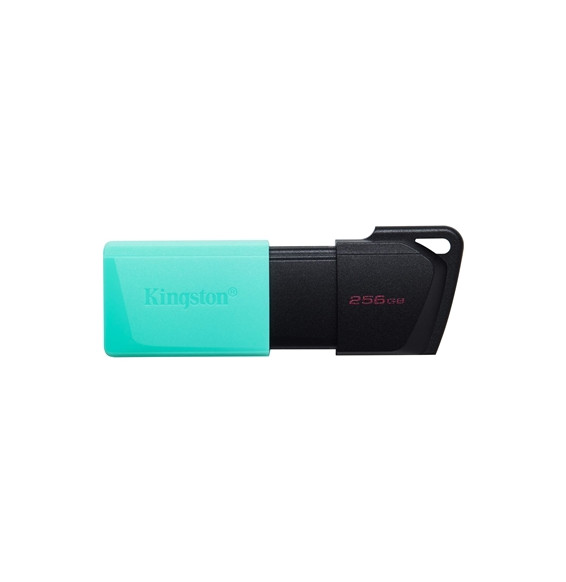  81.2564 FLASH DRIVE USB3.2 256GB KINGSTON DTXM/256GB EXODIAM BLACK+VERD