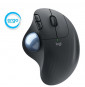  84.1053 TRACKBALL LOGITECH RETAIL WIRELESS ERGO M575 400DPI RICEVITORE U