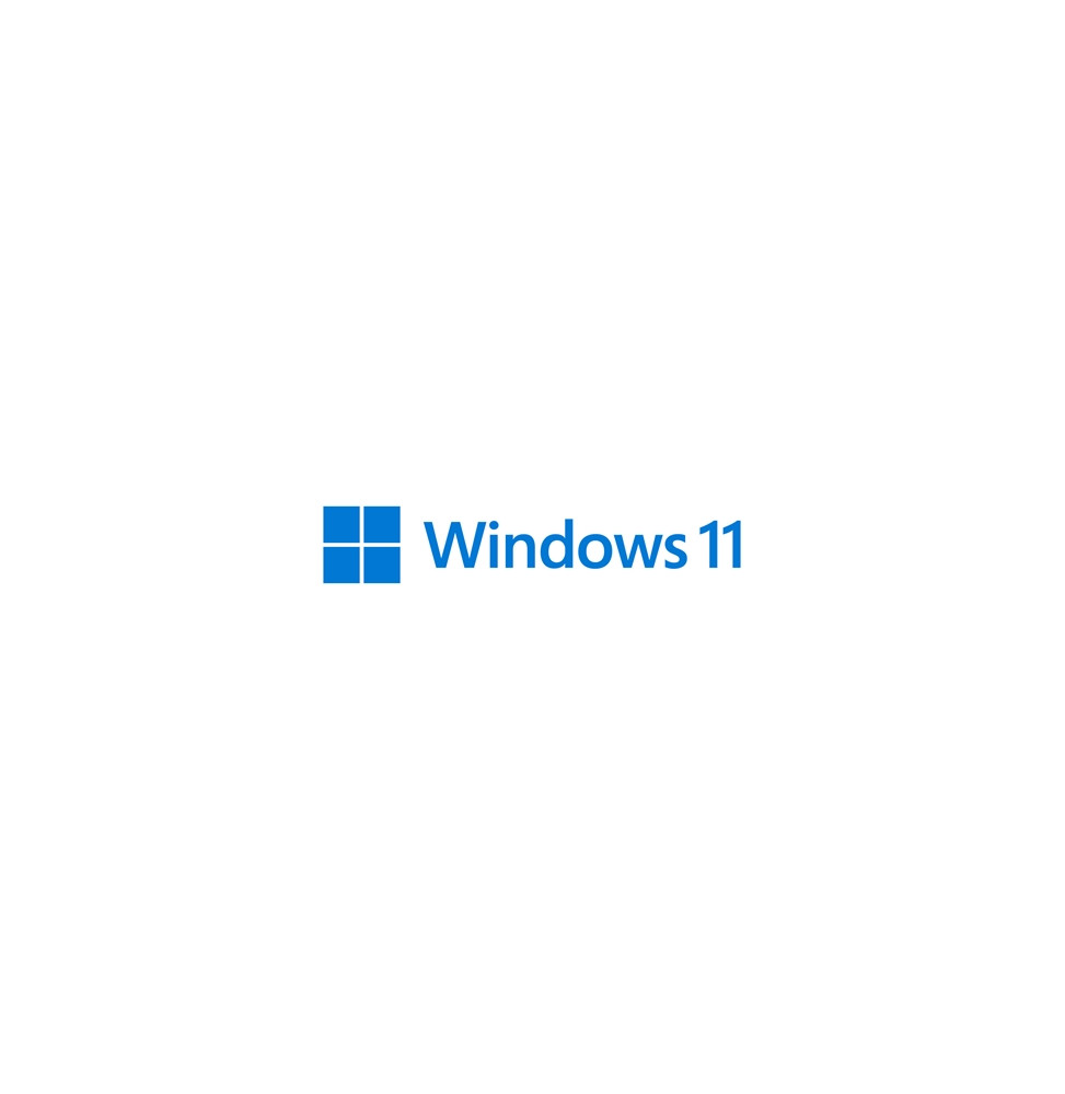  51.228 WINDOWS 11 PROFESSIONAL 64BIT DVD OEM FQC-105