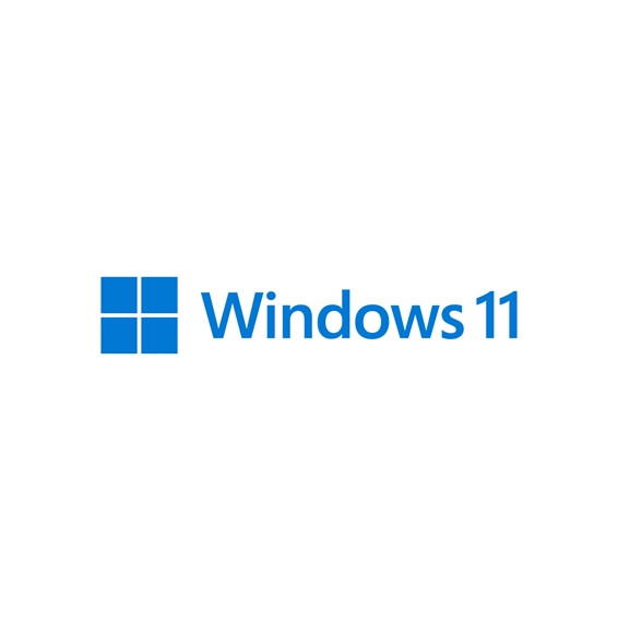  51.228 WINDOWS 11 PROFESSIONAL 64BIT DVD OEM FQC-105